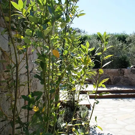 Feriehus Luxurioese Schaeferei 2km Vom Von Santa Giulia Entfernt By Interhome Porto-Vecchio (Corsica)