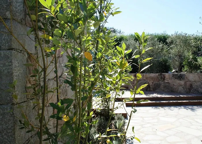 Holiday home Luxurioese Schaeferei 2km Vom Von Santa Giulia Entfernt By Interhome Porto-Vecchio (Corsica)